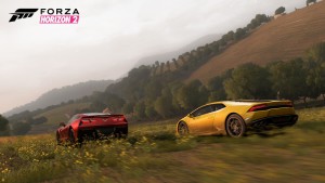 beautiful scenery, Forza Horizon 2