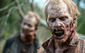 zombie, walking dead