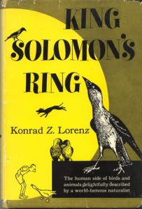 book king solomon ring