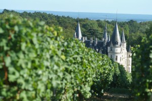top 6 French wine regions