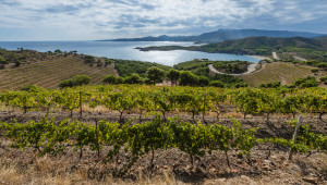 best Spanish wine regions