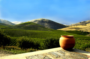 best portugal wine regions