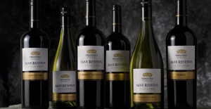 best wines from Chile