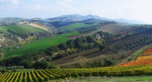 top 6 wine regions in Italy