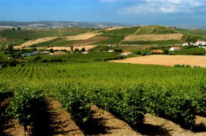 best Portugese wines list