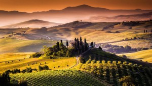best italian vine regions